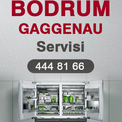Bodrum Gaggenau Servisi Tamircisi Teknik Servis